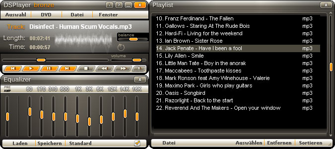 DSPlayer, DivX, Video, DVD, free DVD Player, mp3, ogg, avi, HQ, Skinable, powerful, playback, top download, support, Support for