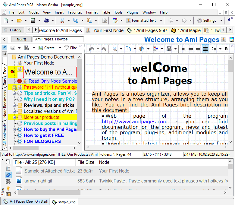 Aml Pages