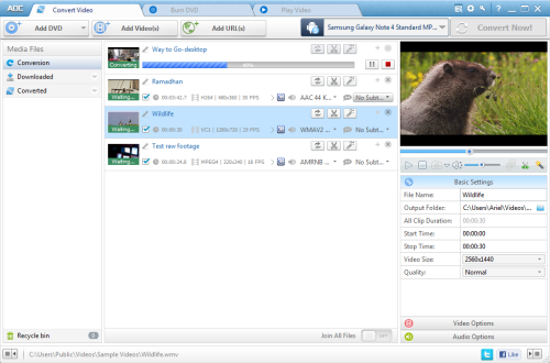 Any DVD Converter Pro.