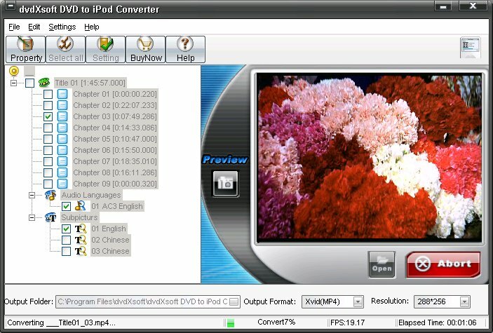 AGP DVD TO IPOD AND PSP