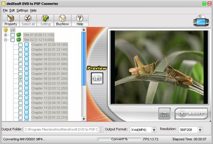 AGP DVD TO PSP
