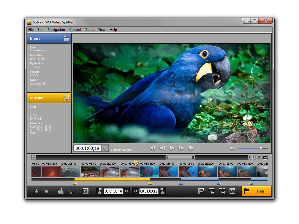 SolveigMM Video Splitter