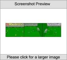 Super Web Soccer
