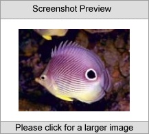 7art Tropical Fish ScreenSaver