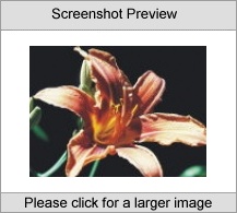 7art Flowers Pro ScreenSaver