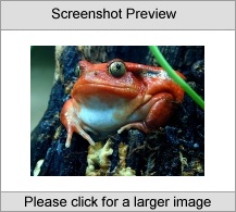7art Croaking Frogs ScreenSaver