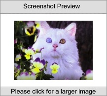 7art Miaow Cats ScreenSaver