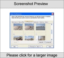 Flash File Recovery