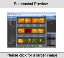 PicaJet FX (Family License)