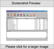 CZ Document Converter