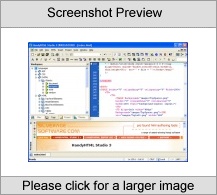 HandyHTML Editor - Company Licence