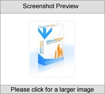 WireKeys Business User license