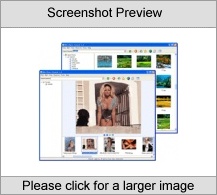 Web Photo Search