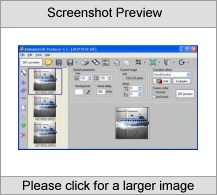 Animated GIF producer