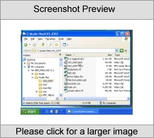 Alive File Encryption