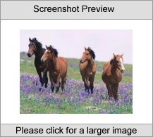 7art Graceful Horses ScreenSaver