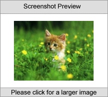 7art Happy Cats ScreenSaver