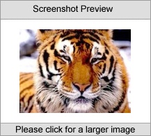 Tigers