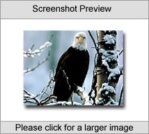 Birds of North America