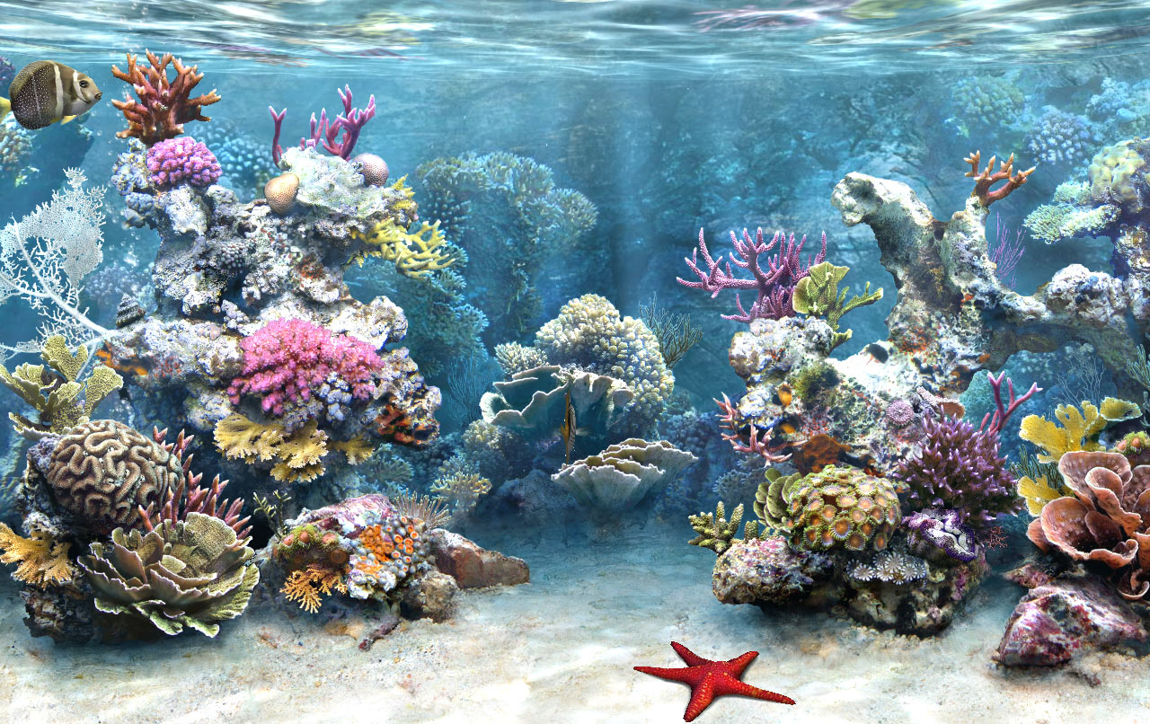 SimAQUARIUM Complete