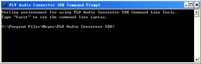 FLV Audio  Converter SDK