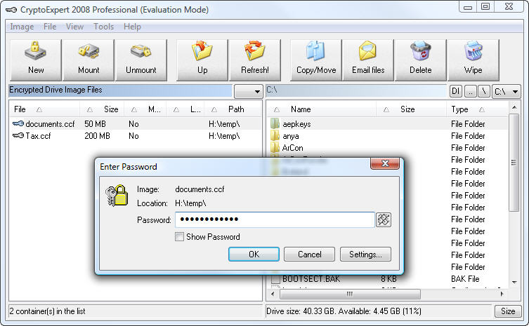 CryptoExpert 2008 Professional
