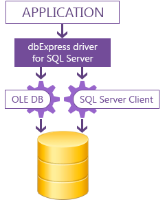 dbExpress driver for SQL Server