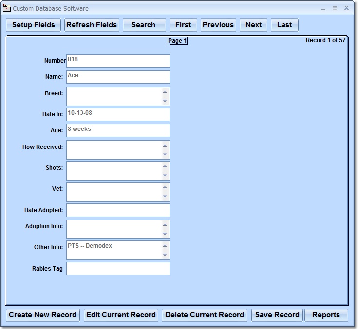 Custom Database Software
