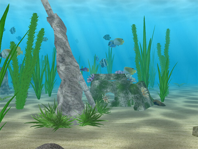 Enjoy the vivid underwater world as you relax and forget about your endless work