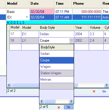 .NET DataGridView Columns