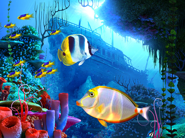 Coral Reef 3D Screensaver