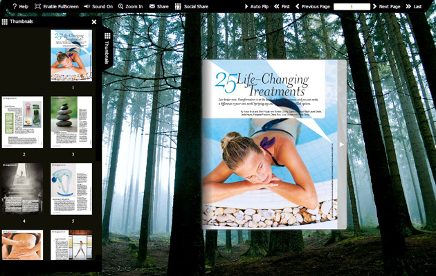 Flash flip book template of Forest