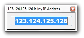 Display IP Address