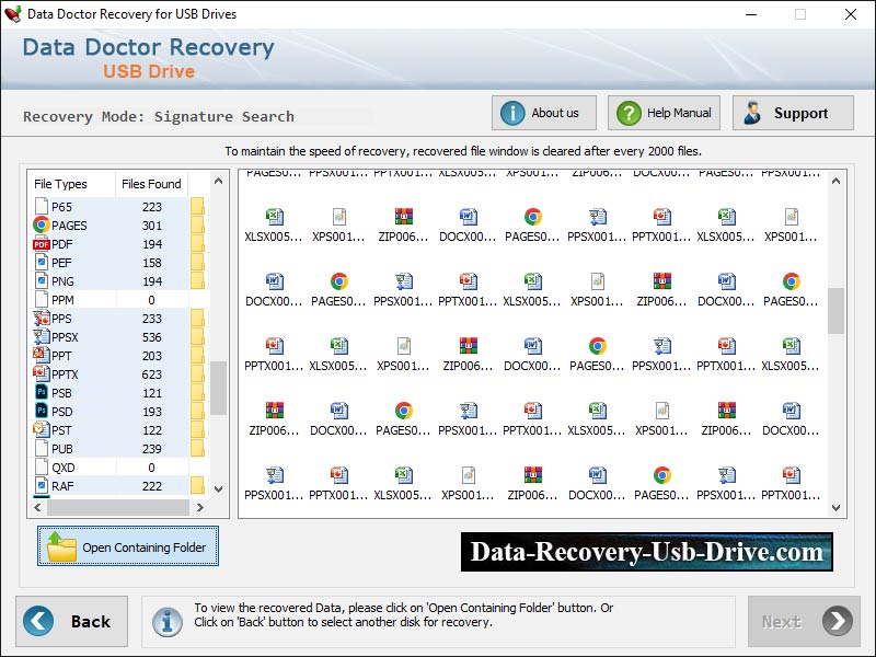 Pen Data Recovery DDR