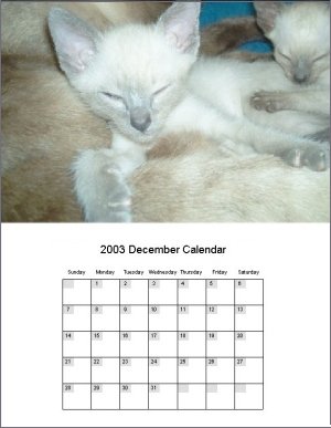 Here It Is! The Best Calendar Software For Making 