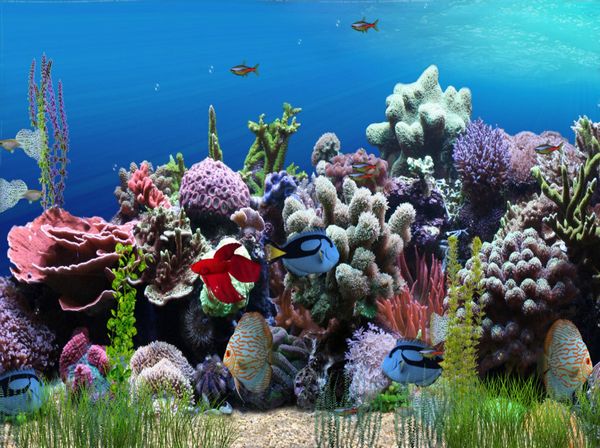 Aquarium Animated Wallpaper