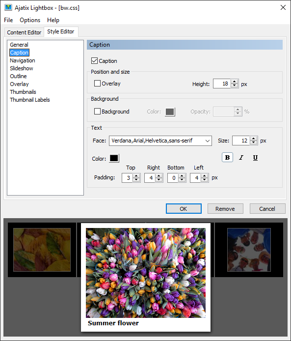 Lightbox Expression Web Add-In