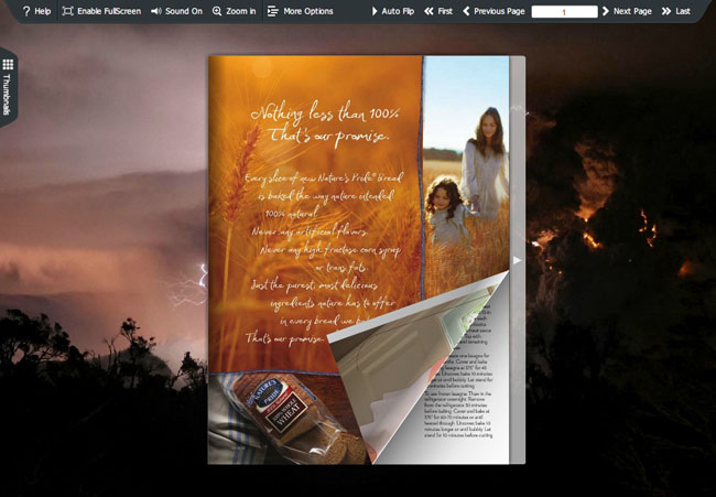 Flash Magazine Theme for Eruption Style