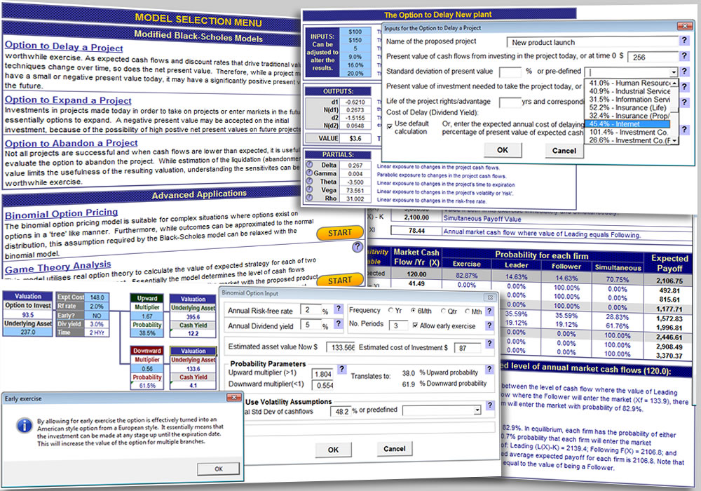 Real Option Valuation