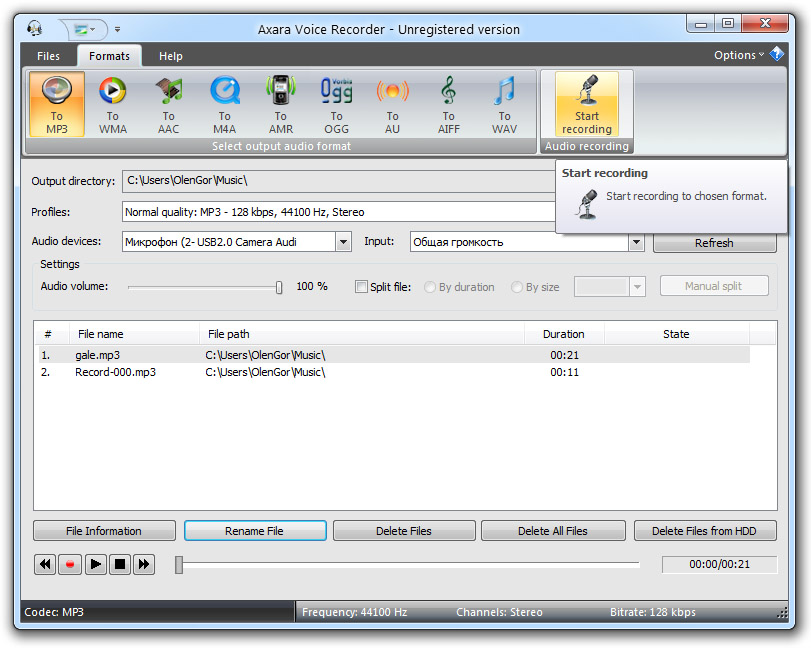 Voice Recorder