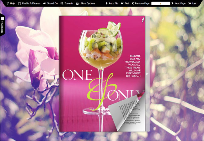 Flash Magazine Themes for Illusion Style