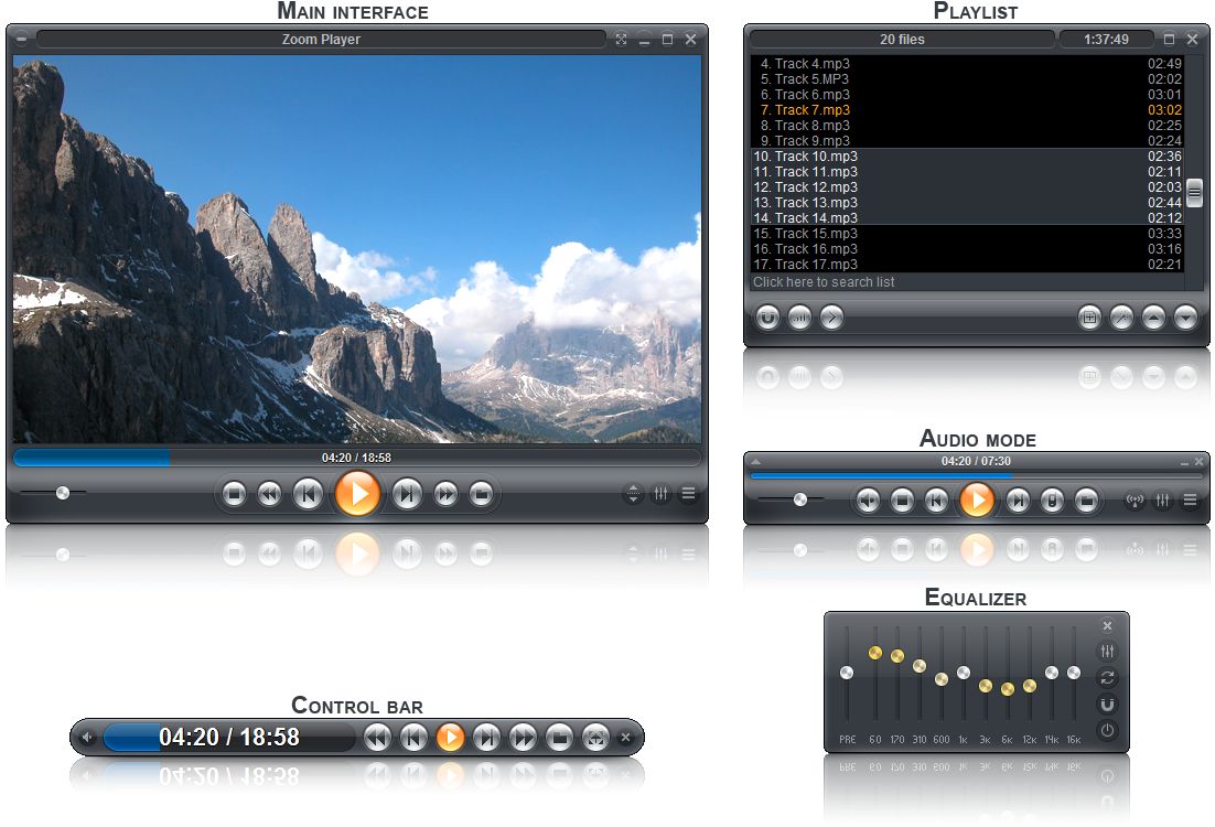Zoom Player Home Professional