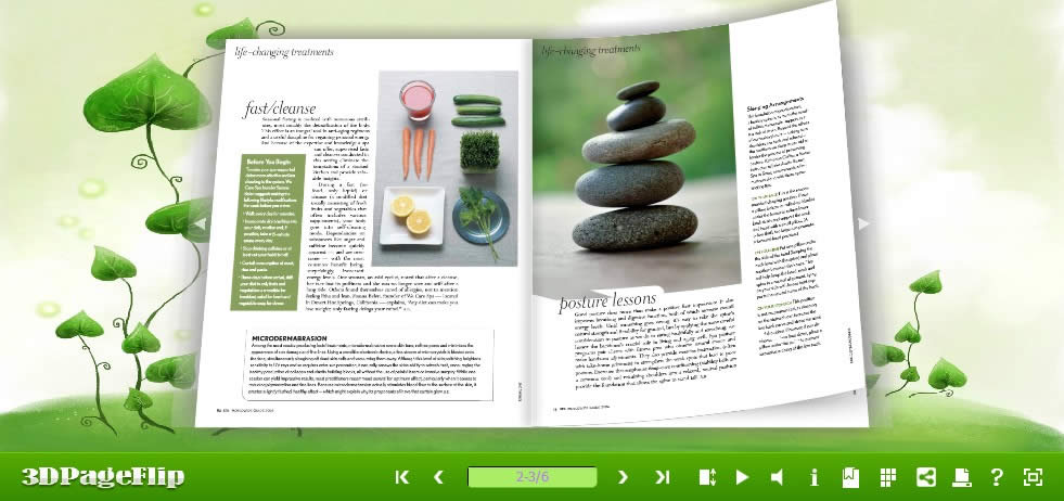 3DPageFlip Flash Catalog Templates for Cartoons