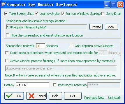 Computer Spy Monitor Keylogger Downloader
