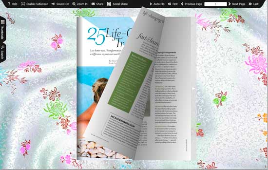 FlipBook Creator Themes Pack -Silk