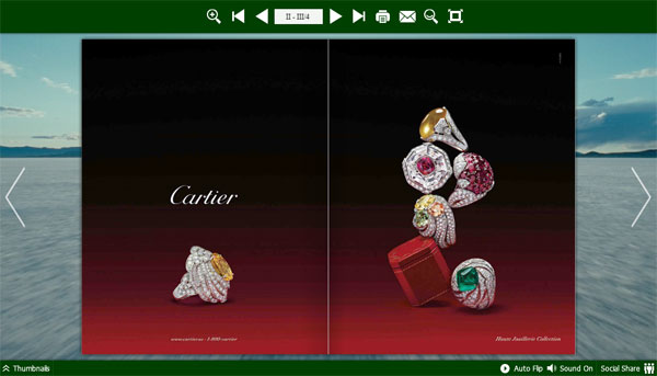 Flash Book Flipper for iPad