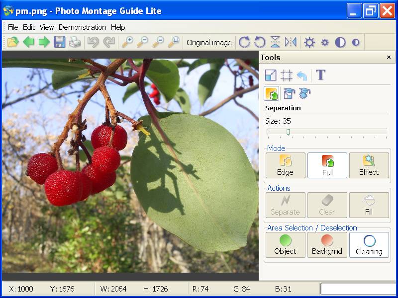 Photo Montage Guide Lite