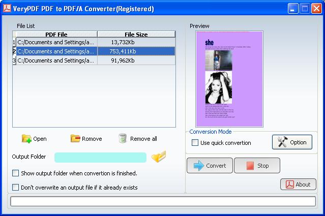 PDF to PDF/A-1b Converter