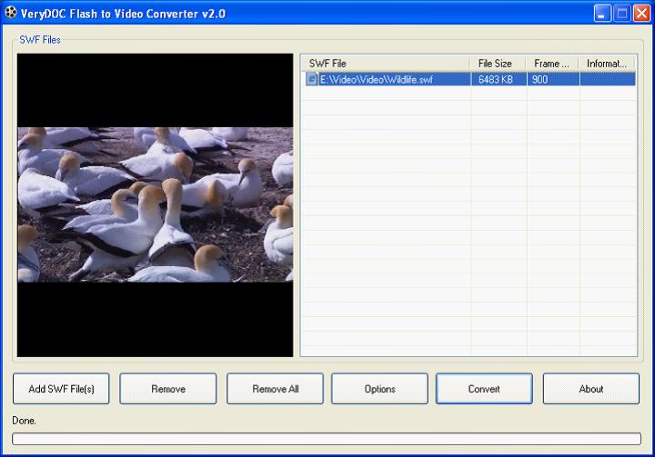 Flash to MOV Converter
