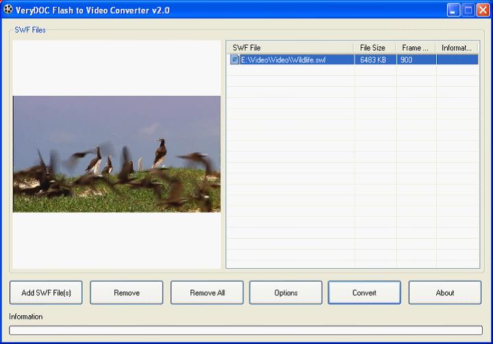 Flash to MP4 Converter